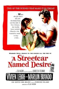 Poster to the movie "A Streetcar Named Desire" #203977