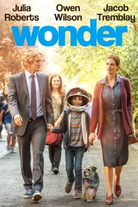 Poster to the movie "Wonder" #72315