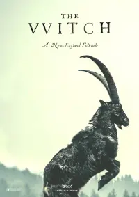 Poster to the movie "The Witch" #66204