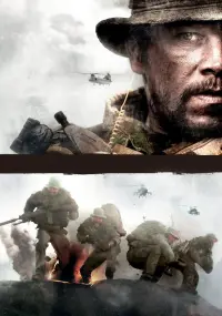 Poster to the movie "Lone Survivor" #215878