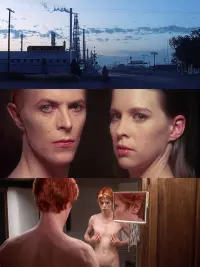 Poster to the movie "The Man Who Fell to Earth" #289040