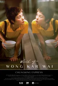 Poster to the movie "Chungking Express" #180380