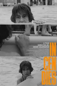 Poster to the movie "Incendies" #633342