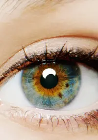 Poster to the movie "I Origins" #205534