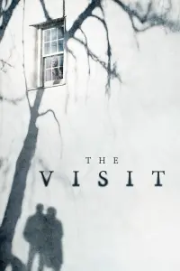 Poster to the movie "The Visit" #330460