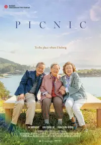 Poster to the movie "Picnic" #191133