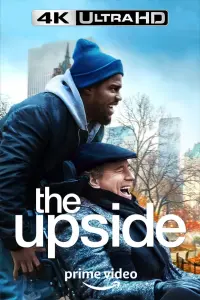 Poster to the movie "The Upside" #236631