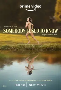 Poster to the movie "Somebody I Used to Know" #68184