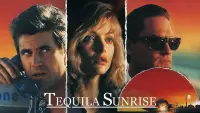 Backdrop to the movie "Tequila Sunrise" #305896