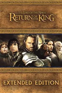 Poster to the movie "The Lord of the Rings: The Return of the King" #11597