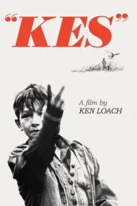 Poster to the movie "Kes" #211586