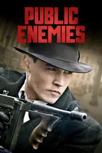 Poster to the movie "Public Enemies" #271245