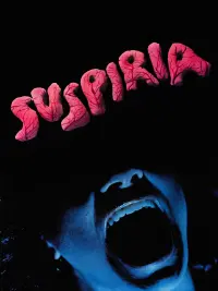 Poster to the movie "Suspiria" #69617