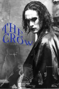 Poster to the movie "The Crow" #503434