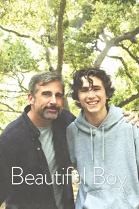 Poster to the movie "Beautiful Boy" #98531