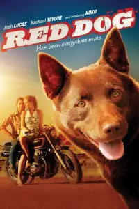 Poster to the movie "Red Dog" #116525