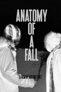 Poster to the movie "Anatomy of a Fall" #164537