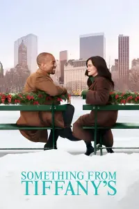 Poster to the movie "Something from Tiffany