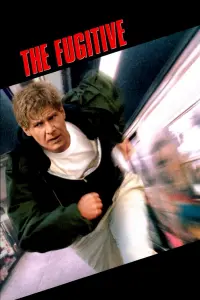 Poster to the movie "The Fugitive" #70088