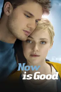 Poster to the movie "Now Is Good" #222983