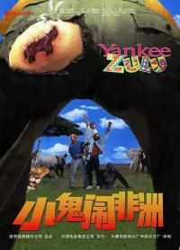 Yankee Zulu