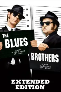 Poster to the movie "The Blues Brothers" #649111