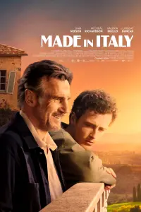 Poster to the movie "Made in Italy" #108963