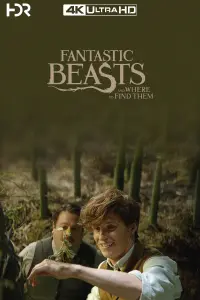 Poster to the movie "Fantastic Beasts and Where to Find Them" #224161