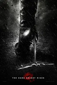 Poster to the movie "The Dark Knight Rises" #155400