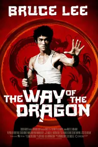 Poster to the movie "The Way of the Dragon" #82868