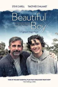 Poster to the movie "Beautiful Boy" #98543