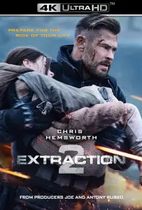 Poster to the movie "Extraction 2" #10824