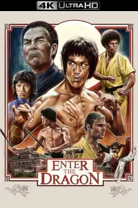 Poster to the movie "Enter the Dragon" #66007