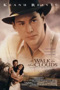 Poster to the movie "A Walk in the Clouds" #84700