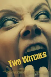 Poster to the movie "Two Witches" #121615