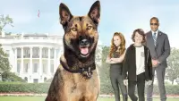 Backdrop to the movie "Max 2: White House Hero" #345882