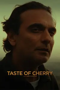 Poster to the movie "Taste of Cherry" #111969