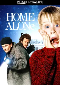 Poster to the movie "Home Alone" #216173