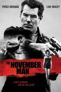 Poster to the movie "The November Man" #113534