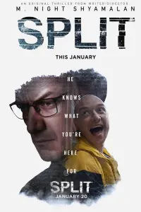 Poster to the movie "Split" #223567