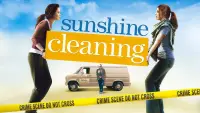 Backdrop to the movie "Sunshine Cleaning" #276636