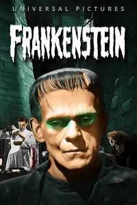 Poster to the movie "Frankenstein" #85961