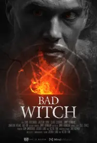 Poster to the movie "Bad Witch" #648881