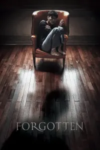 Poster to the movie "Forgotten" #113365