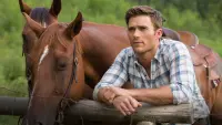 Backdrop to the movie "The Longest Ride" #205747