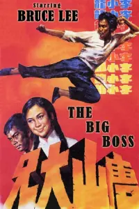 Poster to the movie "The Big Boss" #91125