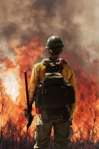 Poster to the movie "Only the Brave" #570943