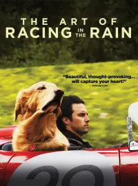 Poster to the movie "The Art of Racing in the Rain" #44050