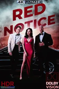 Poster to the movie "Red Notice" #29553