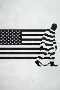 Poster to the movie "13th" #505652